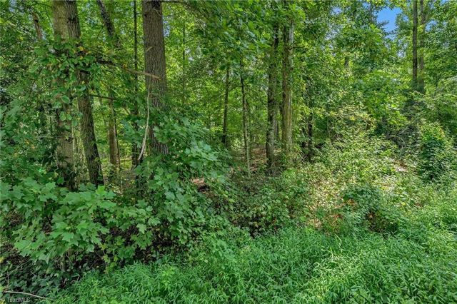 TBD Raven Oak Drive, Wilkesboro, NC 28697