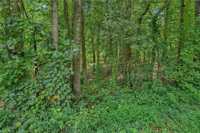 TBD Raven Oak Drive, Wilkesboro, NC 28697