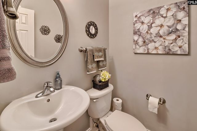 302 Lookout Hill Drive, Chapin, SC 29036