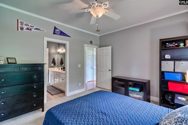 302 Lookout Hill Drive, Chapin, SC 29036