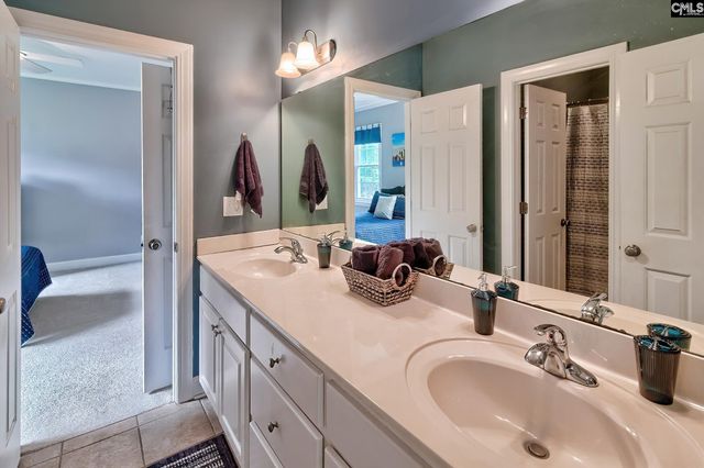 302 Lookout Hill Drive, Chapin, SC 29036