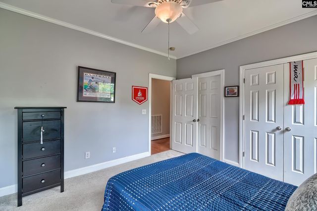 302 Lookout Hill Drive, Chapin, SC 29036
