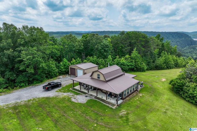 1126 EVANS DRIVE, Oneonta, AL 35121