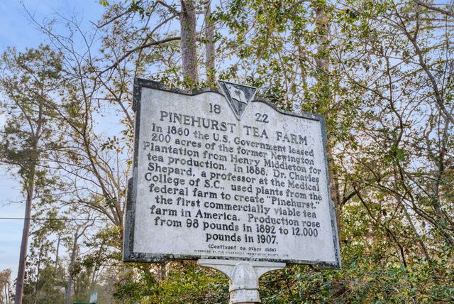 100 W Walker Drive, Summerville, SC 29483