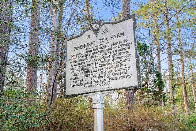 100 W Walker Drive, Summerville, SC 29483