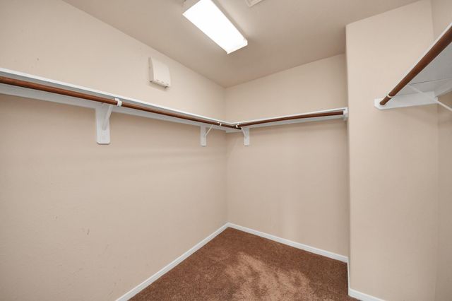 24114 Courtland Oaks Street, Katy, TX 77494