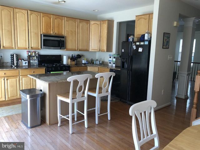 20788 BRIDALVEIL FALLS TER, Sterling, VA 20165
