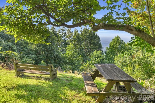 3605 Skyuka Mountain Road, Columbus, NC 28722