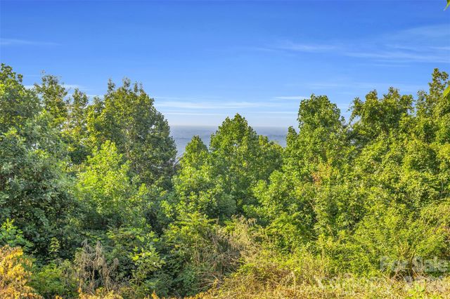 3605 Skyuka Mountain Road, Columbus, NC 28722