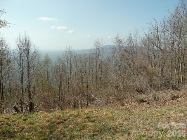 3605 Skyuka Mountain Road, Columbus, NC 28722