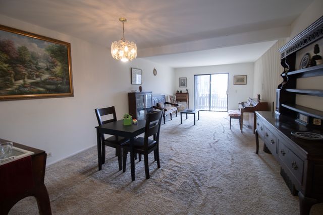 1706 Northfield Square D, Northfield, IL 60093