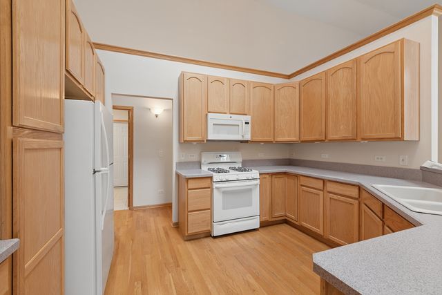 10899 Swallow Tail Lane, Frankfort, IL 60423