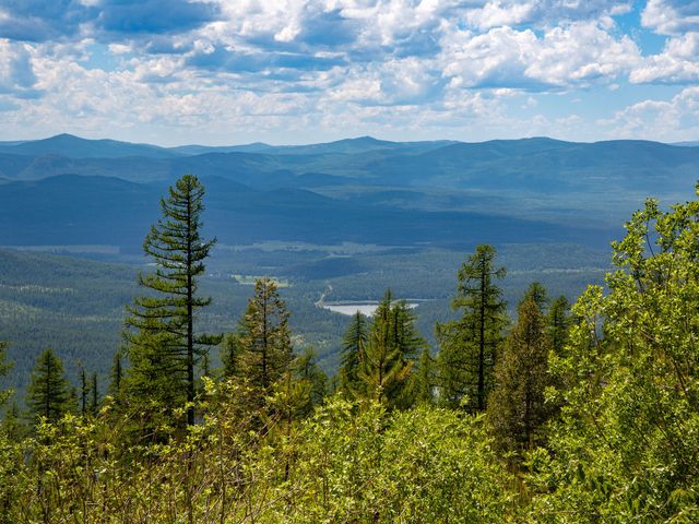 184 Orion Drive, Whitefish, MT 59937
