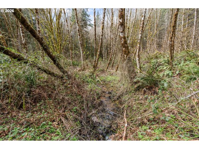 22994 REDOAK Ln, Veneta, OR 97487