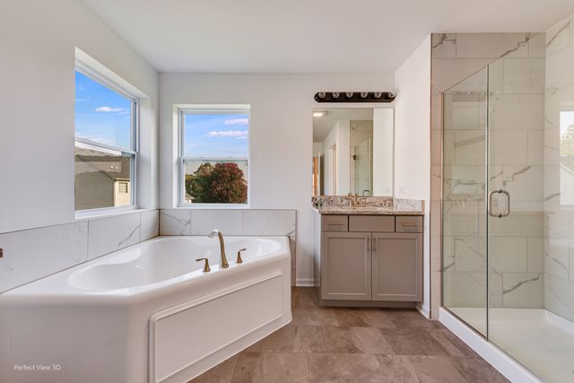 25849 W Winding Hollow Drive, Channahon, IL 60410