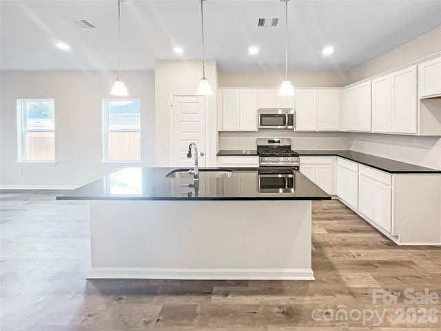 4223 Ruth Creek Court, Charlotte, NC 28216
