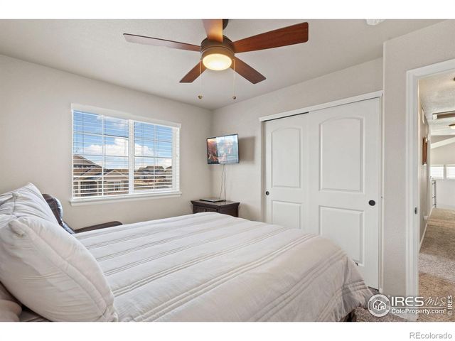 902 Maplebrook Drive, Windsor, CO 80550