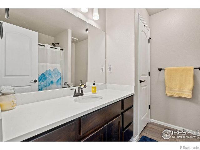 902 Maplebrook Drive, Windsor, CO 80550