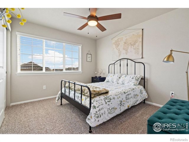 902 Maplebrook Drive, Windsor, CO 80550