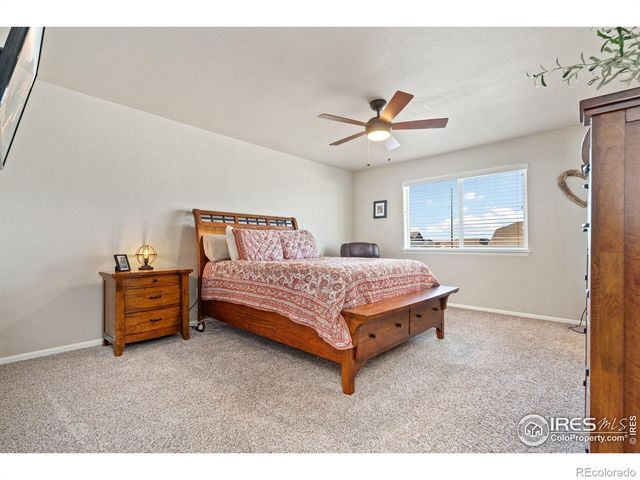 902 Maplebrook Drive, Windsor, CO 80550