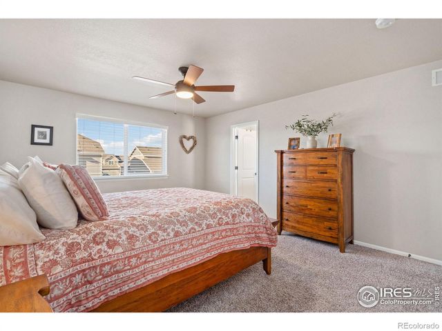 902 Maplebrook Drive, Windsor, CO 80550