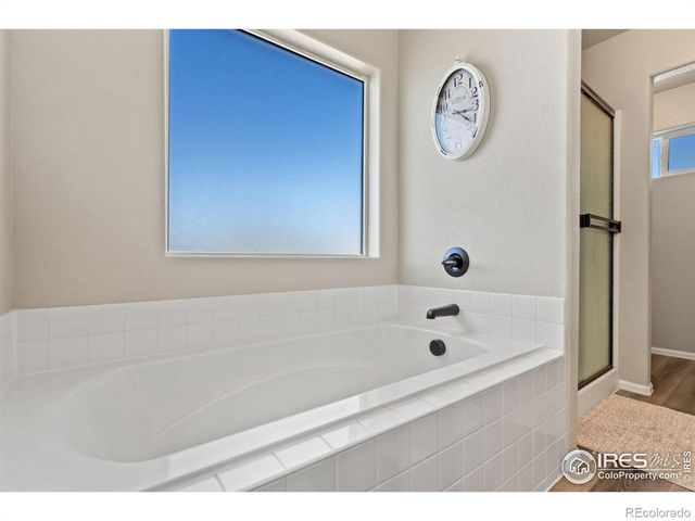 902 Maplebrook Drive, Windsor, CO 80550