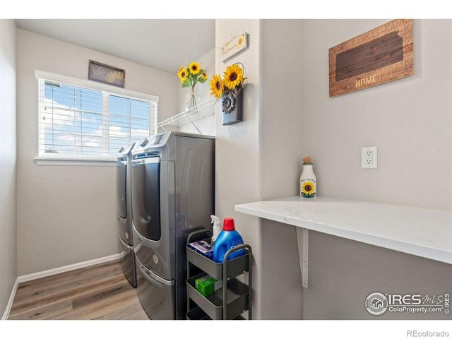 902 Maplebrook Drive, Windsor, CO 80550