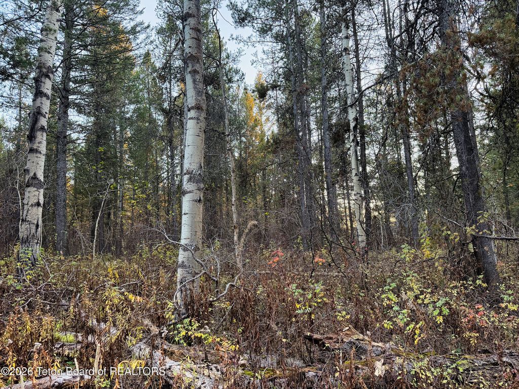 185 W 12250, Tetonia, ID 83452 photo 2