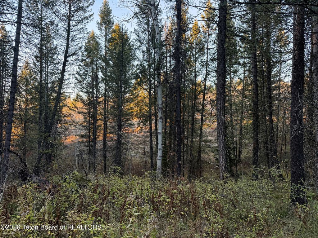 185 W 12250, Tetonia, ID 83452 photo 3
