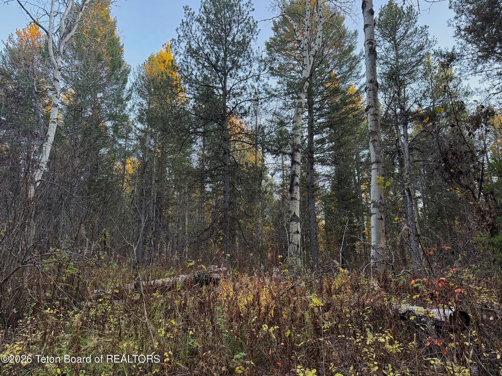 185 W 12250, Tetonia, ID 83452 photo 4