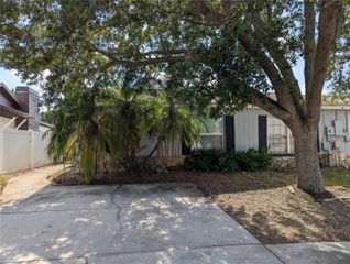 1209 MOHRLAKE DRIVE, Brandon, FL 33511