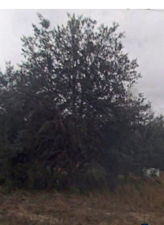 Image 6 of property listing at 2109 BYRON STREET, Inverness, FL 34453