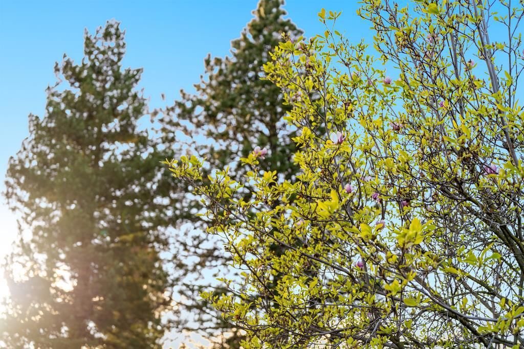 Image 62 of property listing at 11891 Brookglen Drive, Saratoga, CA 95070