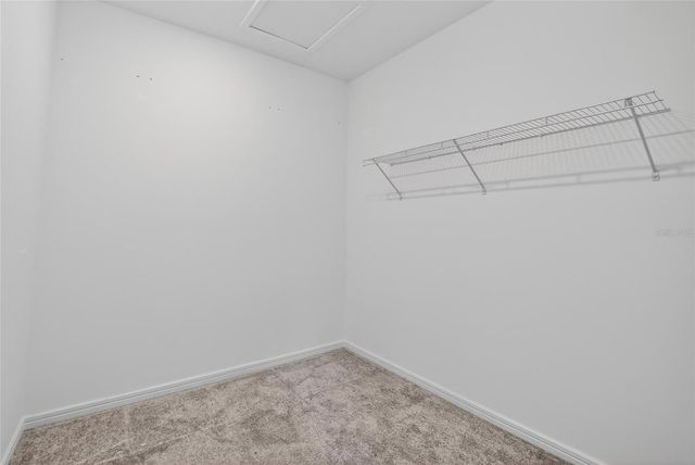 13079 WILLOW GROVE DRIVE, Riverview, FL 33579