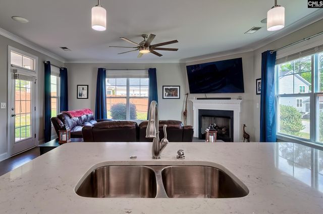 124 Bowyer Lane, Chapin, SC 29036