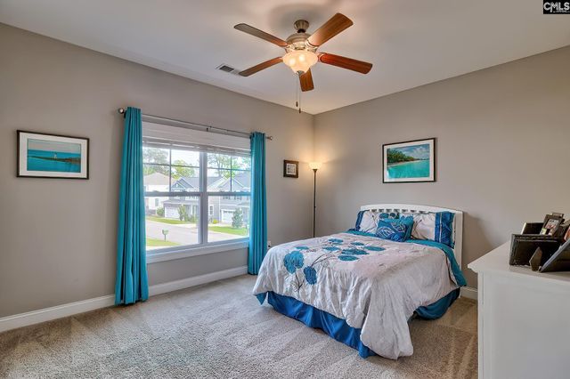 124 Bowyer Lane, Chapin, SC 29036