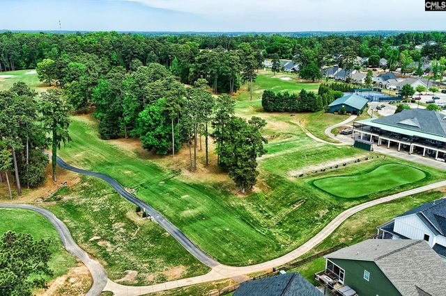 124 Bowyer Lane, Chapin, SC 29036
