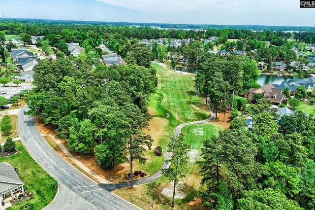 124 Bowyer Lane, Chapin, SC 29036