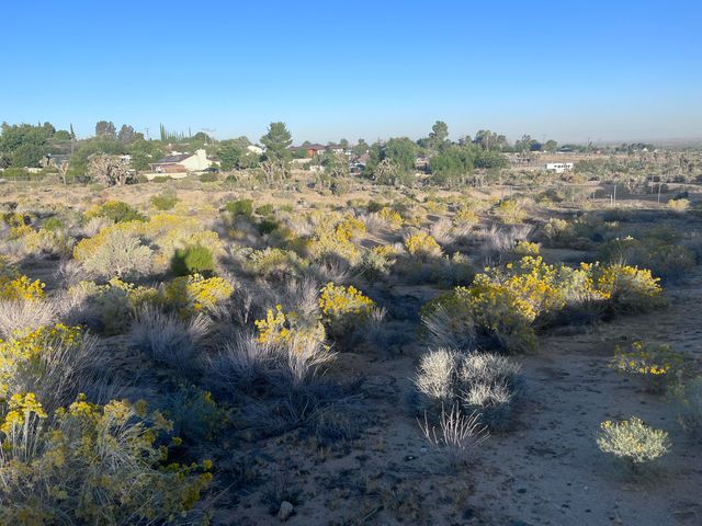 136th St E & Ave W11, Pearblossom, CA 93553