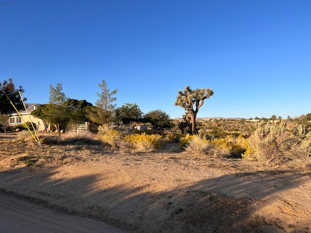 136th St E & Ave W11, Pearblossom, CA 93553