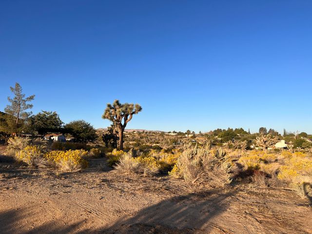 136th St E & Ave W11, Pearblossom, CA 93553