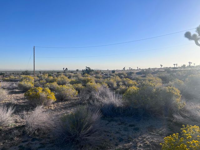 136th St E & Ave W11, Pearblossom, CA 93553