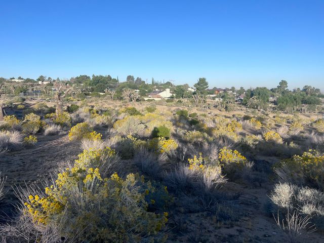 136th St E & Ave W11, Pearblossom, CA 93553