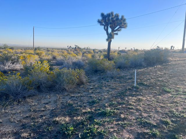 136th St E & Ave W11, Pearblossom, CA 93553