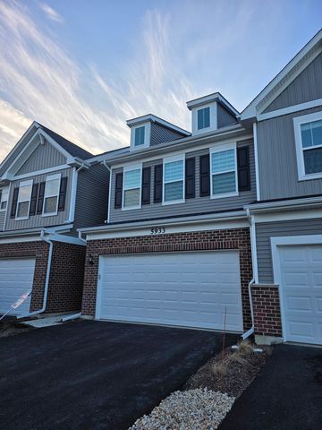 5933 Hawkweed Drive, Naperville, IL 60564