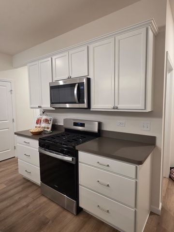 5933 Hawkweed Drive, Naperville, IL 60564