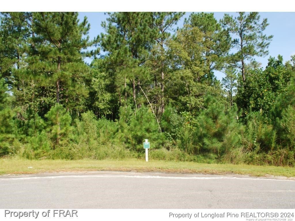 222 Broadlake (639) Lane, Spring Lake, NC 28390 — exterior