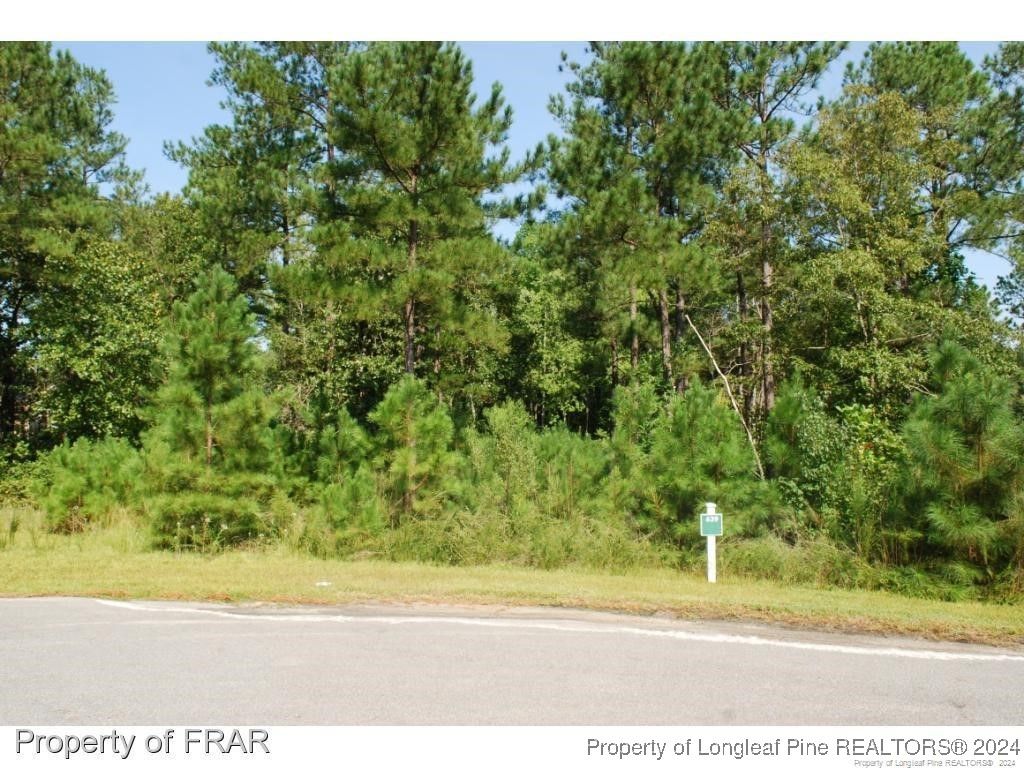 222 Broadlake (639) Lane, Spring Lake, NC 28390 — photo 2