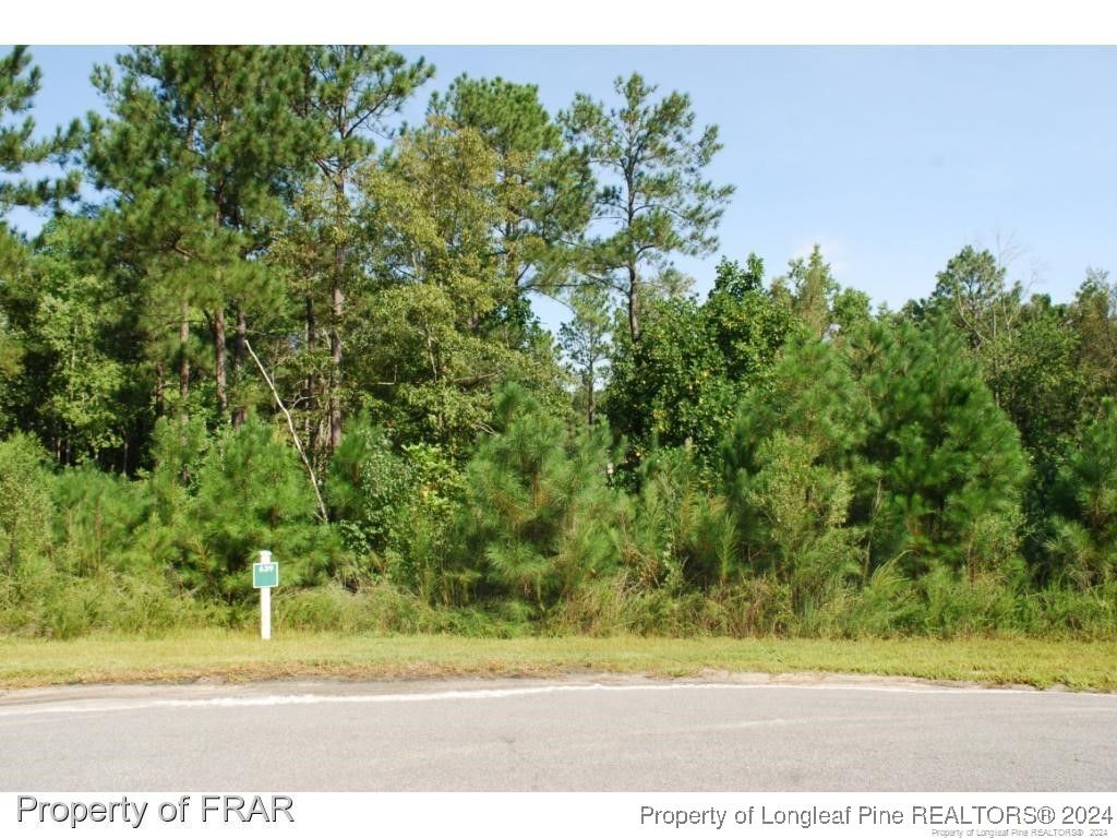 222 Broadlake (639) Lane, Spring Lake, NC 28390 — photo 3