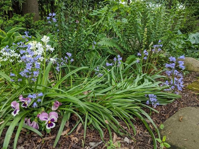 1737 Greenlawn Avenue, Kalamazoo, MI 49006